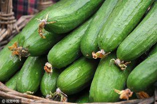 黄瓜cucumber在线观看,在线观看，探索清新美食之旅