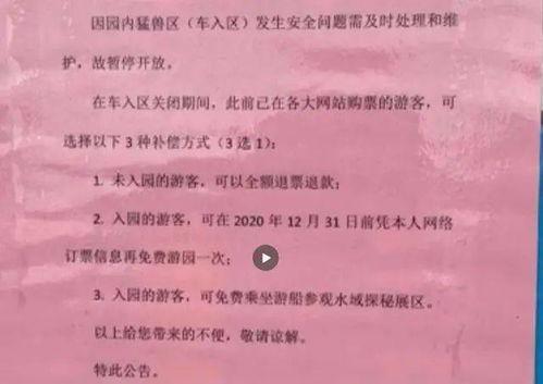 动物园内部爆料案例视频,揭秘动物真实生活与生存困境 第2张 动物园内部爆料案例视频,揭秘动物真实生活与生存困境 第2张