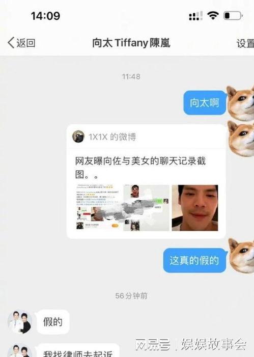 网红爆料拆迁视频大全最新,最新拆迁视频大全,带你领略城市变迁瞬间 第2张 网红爆料拆迁视频大全最新,最新拆迁视频大全,带你领略城市变迁瞬间 第2张