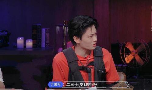 娱乐圈爆料丁禹兮,娱乐圈爆料背后的真相与争议 第3张 娱乐圈爆料丁禹兮,娱乐圈爆料背后的真相与争议 第3张