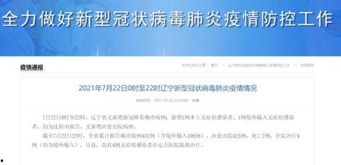 沈阳的今天新闻最新爆料,神秘事件引发社会关注
