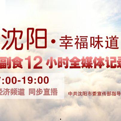 沈阳的今天新闻最新爆料,神秘事件引发社会关注 第3张 沈阳的今天新闻最新爆料,神秘事件引发社会关注 第3张