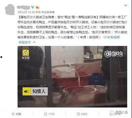 黄磊爆料蟑螂视频,网友热议家居卫生问题  第2张