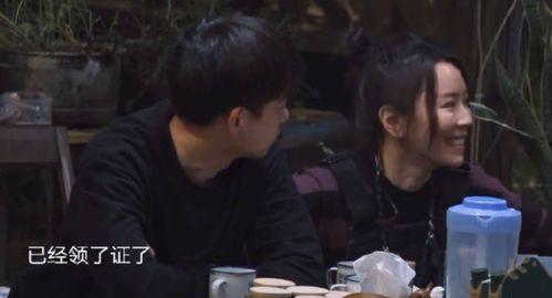 黄磊爆料蟑螂视频,网友热议家居卫生问题  第3张