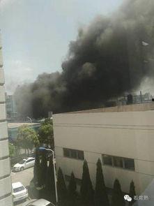 卧龙岗化工厂爆料视频,卧龙岗化工厂爆料视频揭露惊人内幕  第3张