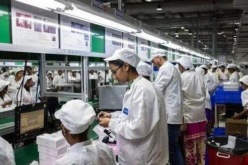 工厂实拍爆料视频大全最新,揭秘工业生产一线真实景象  第2张