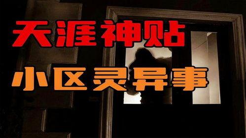 社区大事件爆料视频,大事件视频曝光，精彩瞬间一网打尽