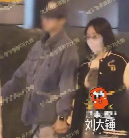 刘大锤最新爆料原版视频,原版视频背后的惊人真相  第2张