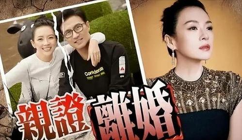 刘大锤最新爆料原版视频,原版视频背后的惊人真相  第3张