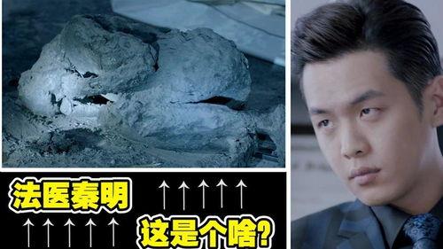 法医秦明在线观看01  第3张
