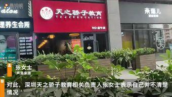 肖小姐深圳最新爆料,揭秘城市热点事件背后的真相