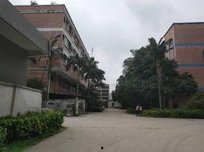 广州狮岭镇最新爆料,揭秘神秘事件背后的真相