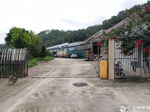 广州狮岭镇最新爆料,揭秘神秘事件背后的真相 第2张 广州狮岭镇最新爆料,揭秘神秘事件背后的真相 第2张