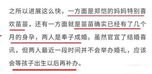 最新八卦圈爆料苗苗,神秘男友身份引网友热议