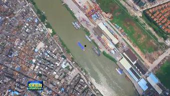 省港流在线观看,在线重温经典，重温那段激情岁月