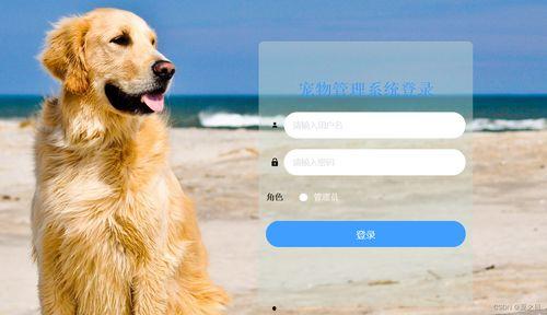 娱乐吃瓜酱宠物收养,宠物收养背后的娱乐吃瓜故事 第2张 娱乐吃瓜酱宠物收养,宠物收养背后的娱乐吃瓜故事 第2张