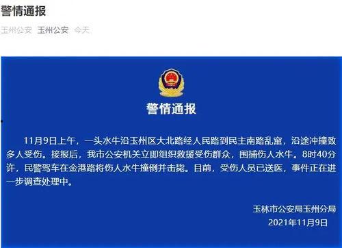 新闻线索爆料视频,视频爆料背后的真相