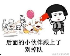 娱乐吃瓜老王,揭秘娱乐圈幕后故事  第3张