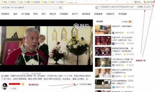 热点爆料采蘑菇视频下载,热点爆料背后的下载攻略