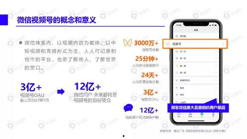 豪哥热门爆料视频大全下载,揭秘娱乐圈幕后真相  第2张