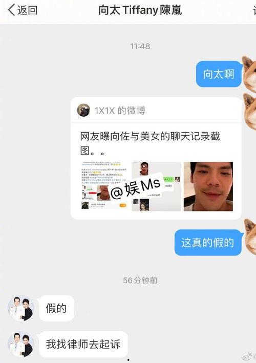 早期网红爆料视频网站,视频网站背后的风云变幻  第3张