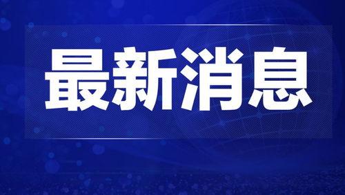合肥热点爆料新闻事件视频,XX事件视频曝光，详情揭秘！