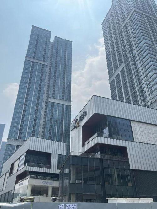 郑东万象城爆料最新消息,揭秘神秘项目即将盛大启幕！