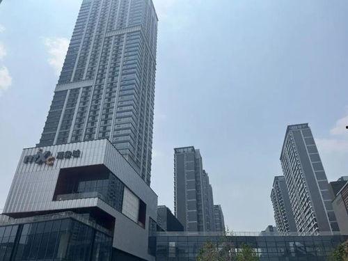 郑东万象城爆料最新消息,揭秘神秘项目即将盛大启幕！  第2张