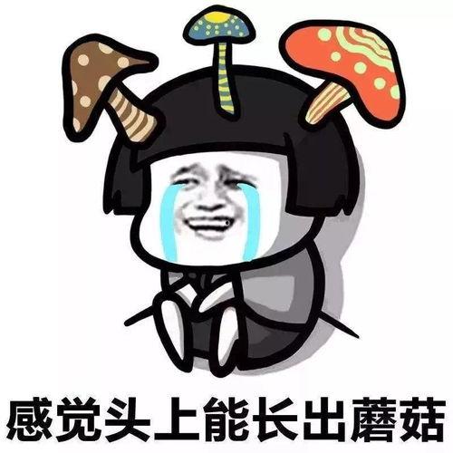 娱乐吃瓜酱出门忘关空调,娱乐吃瓜酱上演“电费刺客”  第2张