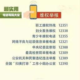 湛江市新闻爆料电话号码,紧急爆料！湛江市新闻热线电话号码大公开  第3张