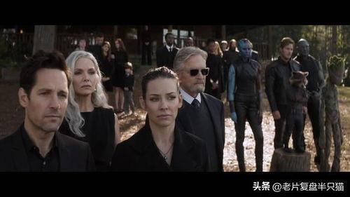 蚁人在线观看免费完整版,免费在线观看，揭秘量子世界的奇幻冒险  第3张