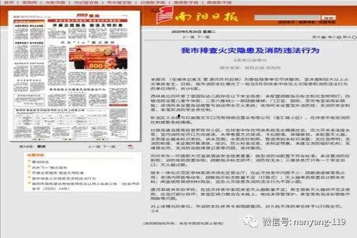 南阳新闻爆料,最新爆料揭示惊人真相