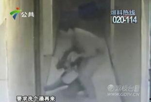 老徐泡菜邻居爆料视频,揭秘泡菜制作背后的秘密