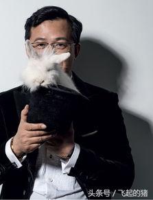 卓伟2018年最新爆料,娱乐圈惊天秘密大揭秘 第2张 卓伟2018年最新爆料,娱乐圈惊天秘密大揭秘 第2张