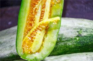 网红各种吃瓜网站,娱乐圈幕后真相大曝光  第3张