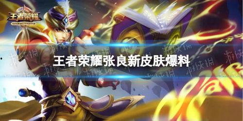 王者荣耀新皮肤爆料新闻,神秘英雄华丽蜕变，视觉盛宴即将开启  第2张