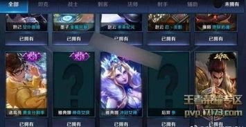 王者荣耀新皮肤爆料新闻,神秘英雄华丽蜕变，视觉盛宴即将开启  第3张