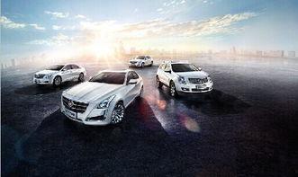 抽车最新爆料新闻事件,揭秘背后真相与影响  第3张