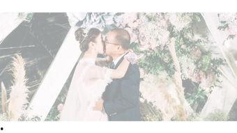 白夜婚礼在线观看,浪漫邂逅，爱情永恒的见证