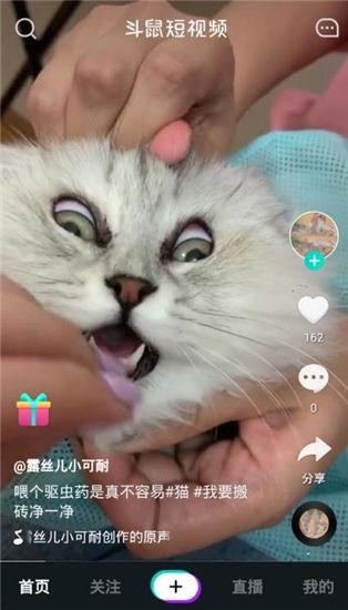 最新爆料老鼠视频大全下载,惊悚瞬间尽收眼底  第3张