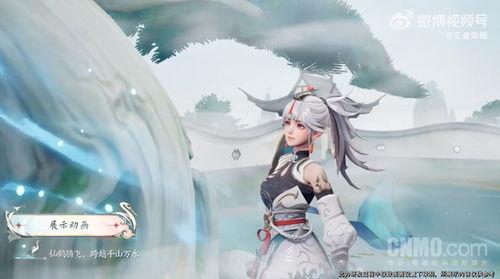 云缨皮肤最新爆料2025年,神秘元素与未来科技交织  第3张