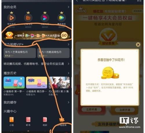 最新羊毛爆料视频播放网站,最新爆料带你畅游羊毛世界  第2张