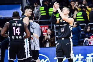 天涯爆料杨鸣视频播放全集,杨鸣视频全集揭秘，精彩瞬间一网打尽  第2张