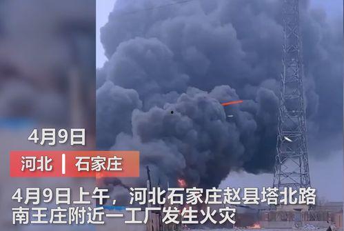 石家庄六中爆料事件视频  第3张