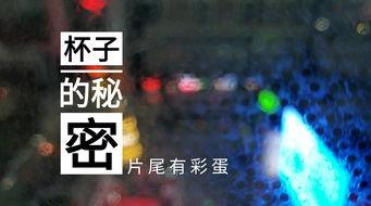 石家庄饭店爆料视频最新