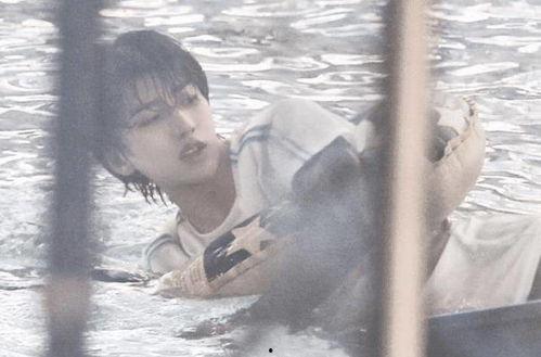 蔡徐坤被爆料截图视频大全,揭秘网络热议背后的真相