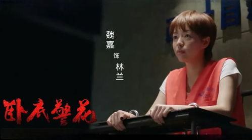 魏嘉爆料视频完整版,事件真相与幕后黑幕大起底