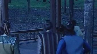 覆雨翻在线观看,穿越时空的奇幻之旅