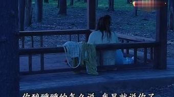 覆雨翻在线观看,穿越时空的奇幻之旅  第2张