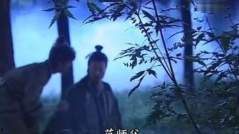 覆雨翻在线观看,穿越时空的奇幻之旅  第3张